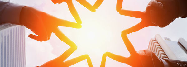 Intelligenz des Herzens - Training